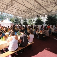 Breakfast in partnership with Bosnalijek, Festival Square, 21. Sarajevo Film Festival, 2015 (C) Obala Art Centar