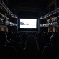 Touch Me Not, In Focus, National Theatre, 24th Sarajevo Film Festival, 2018 (C) Obala Art Centar