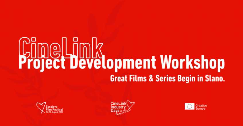 CineLink Development Workshop During Slano Film Days wrapped up for 2025!